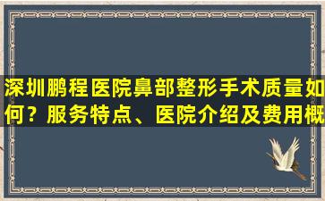 深圳鹏程医院鼻部整形手术质量如何？服务特点、医院介绍及费用概览