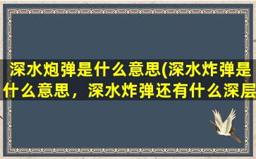 深水炮弹是什么意思(深水炸弹是什么意思，深水炸弹还有什么深层的寓意)