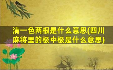 清一色两根是什么意思(四川麻将里的极中极是什么意思)