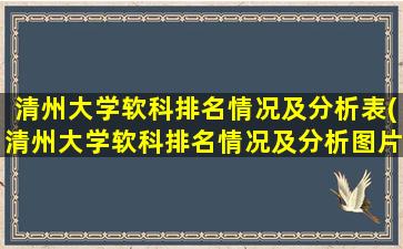 清州大学软科排名情况及分析表(清州大学软科排名情况及分析图片)