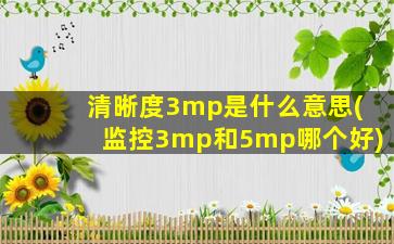 清晰度3mp是什么意思(监控3mp和5mp哪个好)