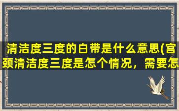 清洁度三度的白带是什么意思(宫颈清洁度三度是怎个情况，需要怎样治疗)