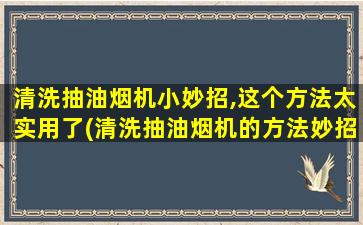 清洗抽油烟机小妙招,这个方法太实用了(清洗抽油烟机的方法妙招)