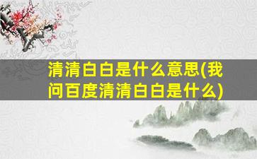 清清白白是什么意思(我问百度清清白白是什么)