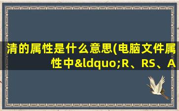 清的属性是什么意思(电脑文件属性中“R、RS、A、SA、S、RA”分别是什么意思)