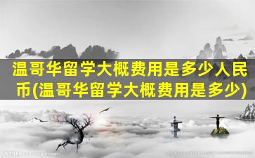 温哥华留学大概费用是多少人民币(温哥华留学大概费用是多少)