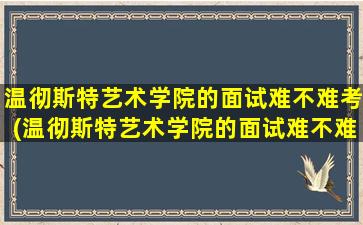 温彻斯特艺术学院的面试难不难考(温彻斯特艺术学院的面试难不难进)