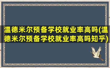 温德米尔预备学校就业率高吗(温德米尔预备学校就业率高吗知乎)