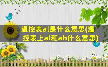 温控表al是什么意思(温控表上al和ah什么意思)