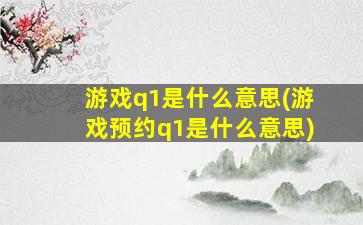 游戏q1是什么意思(游戏预约q1是什么意思)