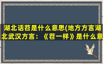 湖北话苕是什么意思(地方方言湖北武汉方言：《苕一样》是什么意思)