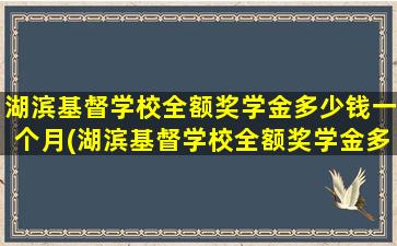 湖滨基督学校全额奖学金多少钱一个月(湖滨基督学校全额奖学金多少钱啊)