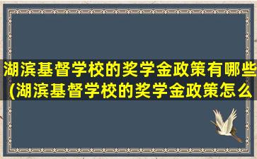 湖滨基督学校的奖学金政策有哪些(湖滨基督学校的奖学金政策怎么样)