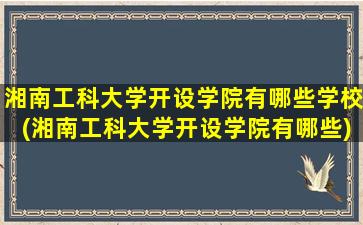 湘南工科大学开设学院有哪些学校(湘南工科大学开设学院有哪些)