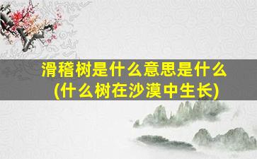 滑稽树是什么意思是什么(什么树在沙漠中生长)