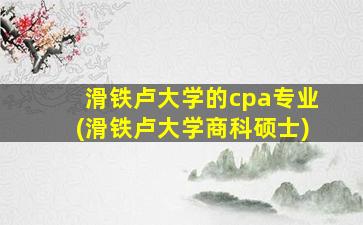 滑铁卢大学的cpa专业(滑铁卢大学商科硕士)