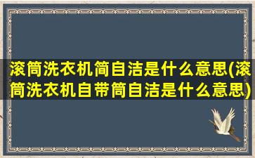 滚筒洗衣机简自洁是什么意思(滚筒洗衣机自带筒自洁是什么意思)