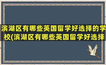 滨湖区有哪些英国留学好选择的学校(滨湖区有哪些英国留学好选择的地方)