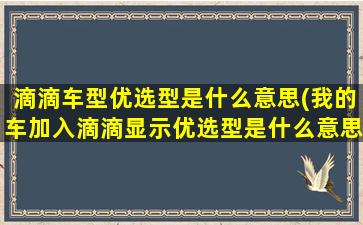 滴滴车型优选型是什么意思(我的车加入滴滴显示优选型是什么意思)