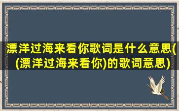 漂洋过海来看你歌词是什么意思((漂洋过海来看你)的歌词意思)