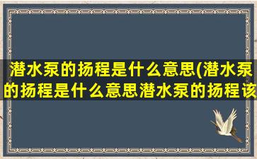 潜水泵的扬程是什么意思(潜水泵的扬程是什么意思潜水泵的扬程该怎么确定)