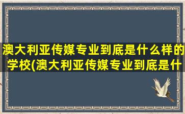 澳大利亚传媒专业到底是什么样的学校(澳大利亚传媒专业到底是什么样的啊)