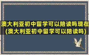 澳大利亚初中留学可以陪读吗现在(澳大利亚初中留学可以陪读吗)