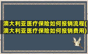 澳大利亚医疗保险如何报销流程(澳大利亚医疗保险如何报销费用)