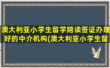 澳大利亚小学生留学陪读签证办理好的中介机构(澳大利亚小学生留学陪读政策)