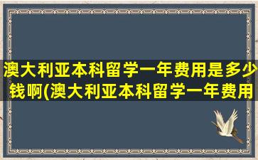 澳大利亚本科留学一年费用是多少钱啊(澳大利亚本科留学一年费用大概是多少人民币)