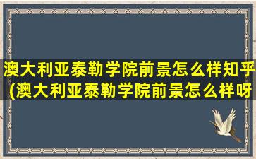 澳大利亚泰勒学院前景怎么样知乎(澳大利亚泰勒学院前景怎么样呀)