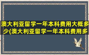 澳大利亚留学一年本科费用大概多少(澳大利亚留学一年本科费用多少钱)