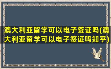 澳大利亚留学可以电子签证吗(澳大利亚留学可以电子签证吗知乎)