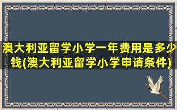 澳大利亚留学小学一年费用是多少钱(澳大利亚留学小学申请条件)