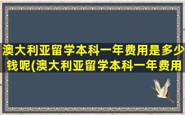 澳大利亚留学本科一年费用是多少钱呢(澳大利亚留学本科一年费用大概多少)