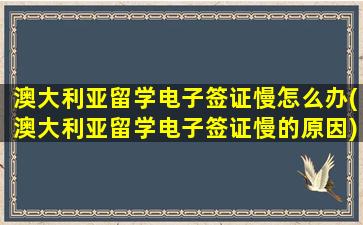 澳大利亚留学电子签证慢怎么办(澳大利亚留学电子签证慢的原因)