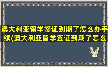 澳大利亚留学签证到期了怎么办手续(澳大利亚留学签证到期了怎么办呢)