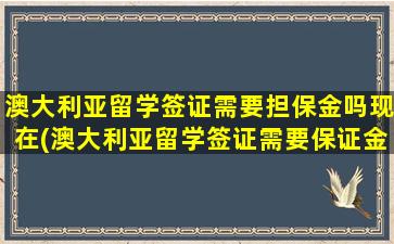 澳大利亚留学签证需要担保金吗现在(澳大利亚留学签证需要保证金么)