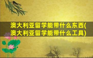 澳大利亚留学能带什么东西(澳大利亚留学能带什么工具)