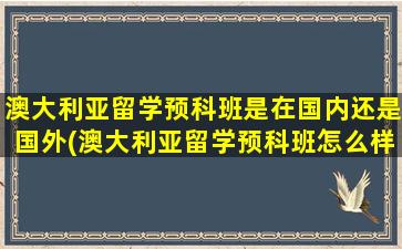 澳大利亚留学预科班是在国内还是国外(澳大利亚留学预科班怎么样)