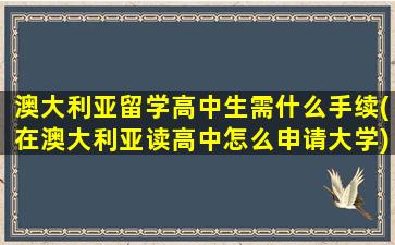 澳大利亚留学高中生需什么手续(在澳大利亚读高中怎么申请大学)