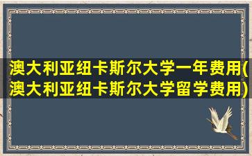 澳大利亚纽卡斯尔大学一年费用(澳大利亚纽卡斯尔大学留学费用)