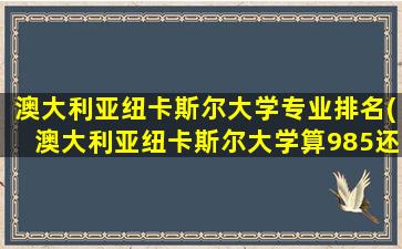 澳大利亚纽卡斯尔大学专业排名(澳大利亚纽卡斯尔大学算985还是211)