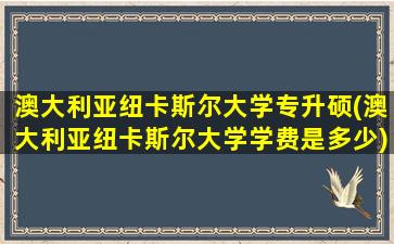 澳大利亚纽卡斯尔大学专升硕(澳大利亚纽卡斯尔大学学费是多少)