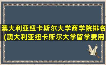 澳大利亚纽卡斯尔大学商学院排名(澳大利亚纽卡斯尔大学留学费用)