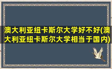 澳大利亚纽卡斯尔大学好不好(澳大利亚纽卡斯尔大学相当于国内)