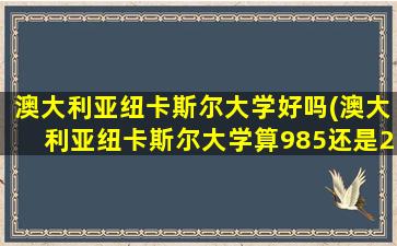 澳大利亚纽卡斯尔大学好吗(澳大利亚纽卡斯尔大学算985还是211)