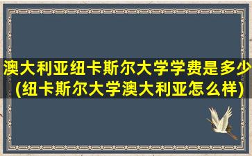 澳大利亚纽卡斯尔大学学费是多少(纽卡斯尔大学澳大利亚怎么样)