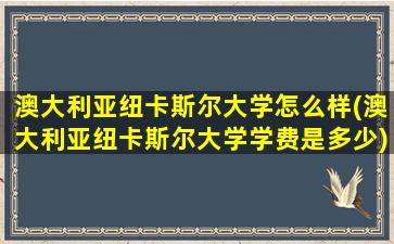 澳大利亚纽卡斯尔大学怎么样(澳大利亚纽卡斯尔大学学费是多少)