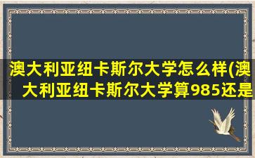 澳大利亚纽卡斯尔大学怎么样(澳大利亚纽卡斯尔大学算985还是211)